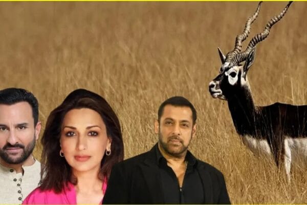 Salman Khan Appear High Court Hearing Many Stars Held Buck Case