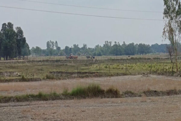 Gonda Illegal mining case exposed in Parsapur | Gonda News | Newstrack UP News | | Gonda News: परसपुर में अवैध खनन का मामला उजागर, सड़क किनारे मिट्टी पटाई कार्य जोरों पर