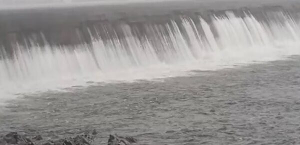 Narmada river water level increased due to heavy rains in MP, 24 thousand cusecs of water
