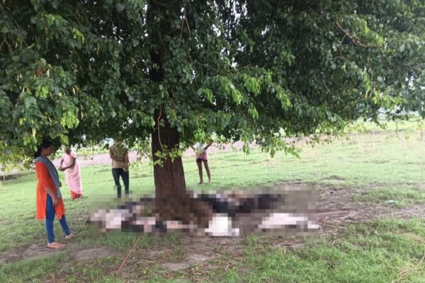 Lightning Strike in Raebareli Two Women and 40 Goats Killed | Lightning strike in Rae Bareli, Uttar Pradesh lightning deaths | Livestock killed by lightning, Rural India lightning accidents | रायबरेली में आकाशीय बिजली का कहर: दो महिलाओं और 40 बकरियों की मौत, एक युवक झुलसा