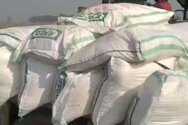Lakhimpur Kheri: Fertilizer Distribution Plagued by Scarcity and Political Pressure, Secretary Abused | Lakhimpur Kheri News: खाद वितरण में अनियमितता और दबाव का आरोप, सचिव से अभद्रता के बाद मचा बवाल