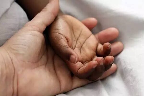 CARA बच्चे को गोद लेने की प्रक्रिया के दौरान मजबूत परामर्श के लिए कहता है; डॉस और डॉन्स की जाँच करें