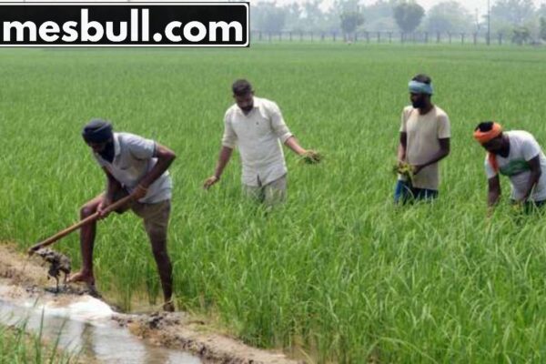 किसान ऋण: CIBIL स्कोर कम होने पर भी फसल ऋण बंद नहीं होगा, सरकार ने नियमों को बदल दिया है